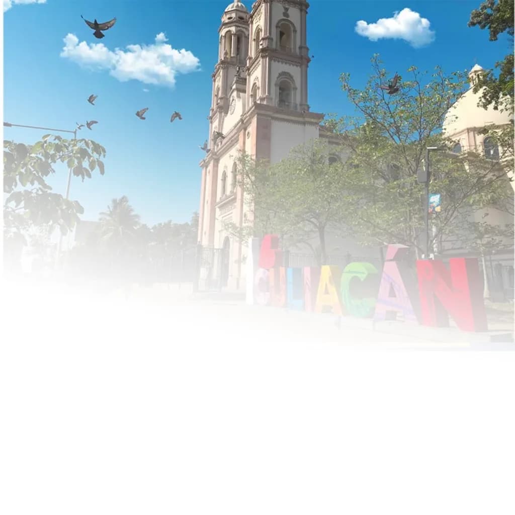 Government of Sinaloa cover