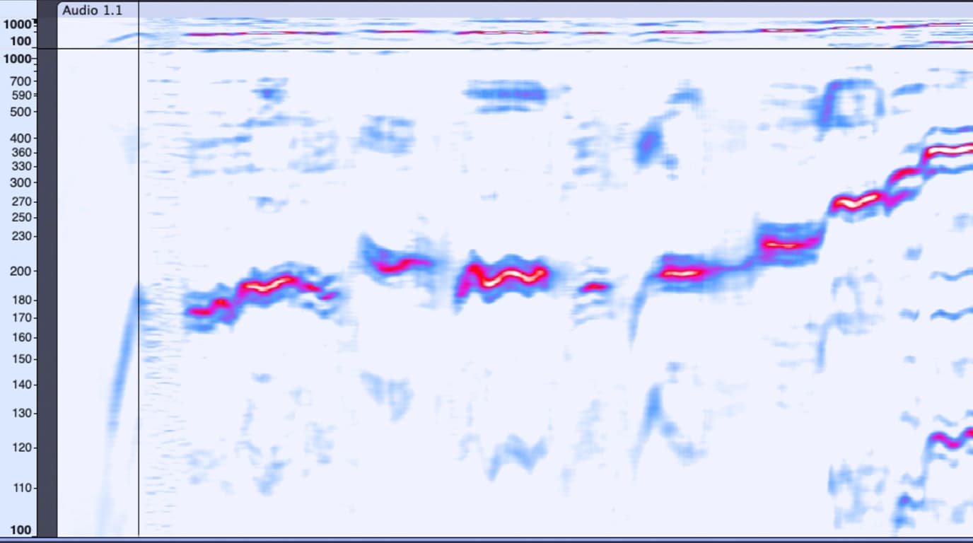 Vocal frequency and pitch analysis logo